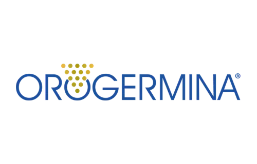 dmg-italia-orogermina-logo